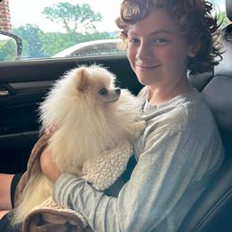 Pomeranian Puppies from Blue Ridge Pomeranian