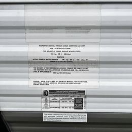 Toy Australian Shepherd All Grown Up from The Ranch of the Sun Toy Aussies