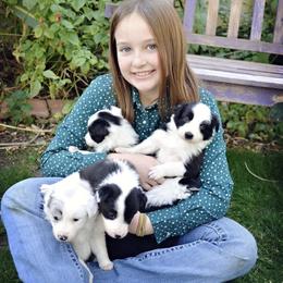 Border Collie Puppies from Ranch Girl Border Collies