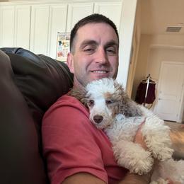 Napoleon - Poodle
