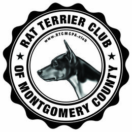 Rat Terrier Puppies from River Ridge Rat Terriers