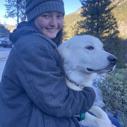 Great Pyrenees All Grown Up from The Yosemite Pyrenees Ranch