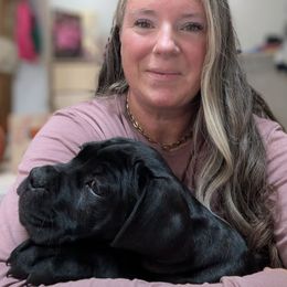 Autumn - Black female Cane Corso puppy in Franktown, Colorado from Earth and Ship Cane Corso