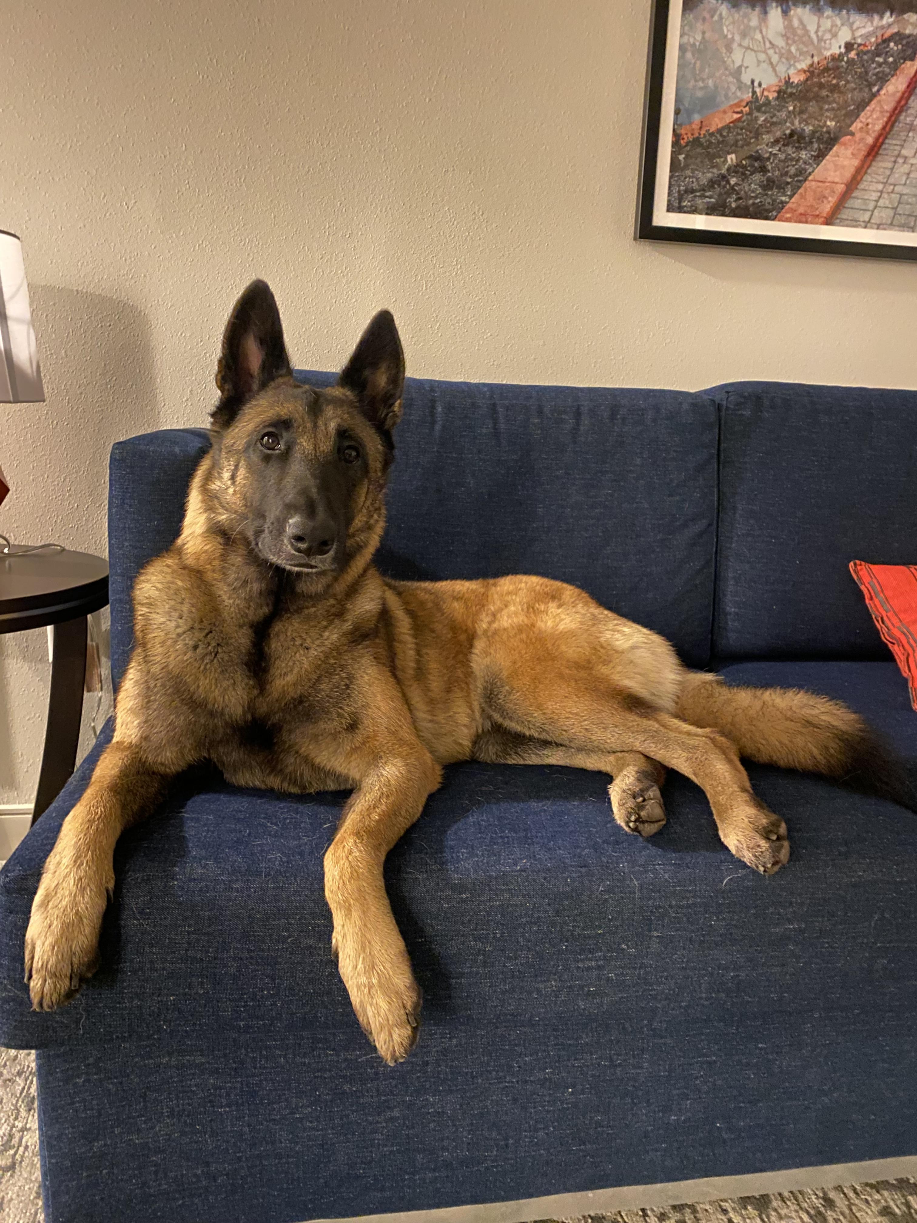 Nika
