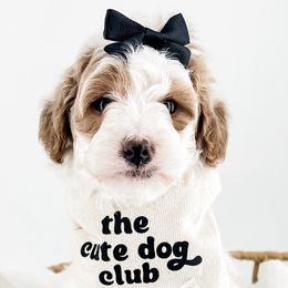 Goldendoodles from Dreamy Goldendoodles