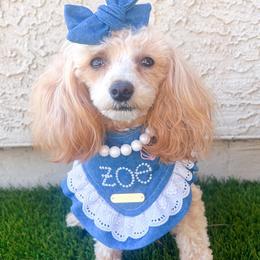Zoe - Goldendoodle