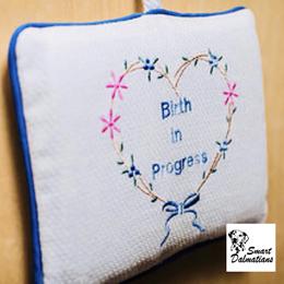 Boy 2 - White and black male Dalmatian puppy in Westhoff, Texas from Smart Dalmatians