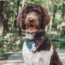 Bentley - Poodle
