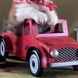 Australian Shepherds from Blackman’s Standard Aussies