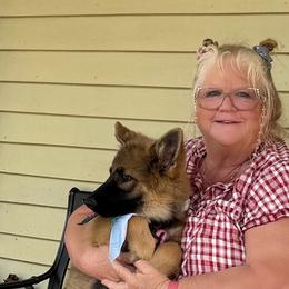 Ginger - Black and red female German Shepherd puppy in Jonesborough, Tennessee from Bouchard’s Best Shepherds