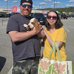 Carl - Red and white male Basset Hound puppy in Bellaire, Ohio from Blessed Bassets