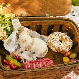 Poodle Puppies from Setting the Standard Poodles