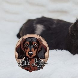 Dachshund Puppies from Little Loves