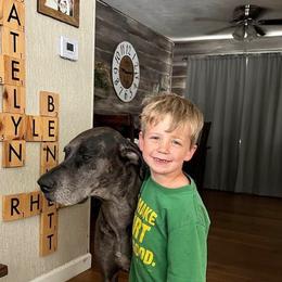 Great Dane All Grown Up from Blue Dane Ridge