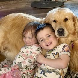 Golden Retrievers from Bliss Retrievers