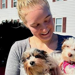 Yorkshire Terriers from Kristen’s yorkies