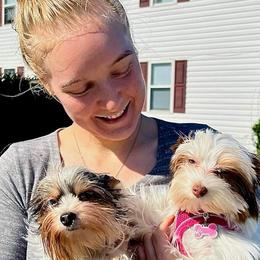 Yorkshire Terriers from Kristen’s yorkies