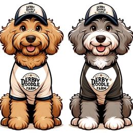 Goldendoodles from Derby Doodle Farm