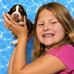 Zeppelin - Tri-Roan male English Springer Spaniel puppy in Fort White, Florida from Thunderbird Springers