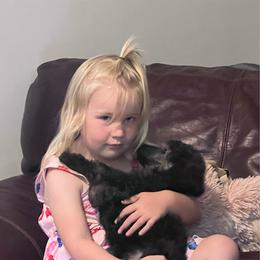 Marty - Silver male Poodle puppy in Greenville, North Carolina from Grace Poodles