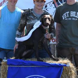 Alvarado Farms don't blink Beretta - Liver female German Shorthaired Pointer puppy in San Antonio, Texas from Alvarado Farm Kennels, LLC