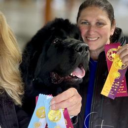 Newfoundlands from Solstice Newfoundlands