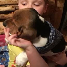 Basset Hound Puppies from Muggsk-9obedience