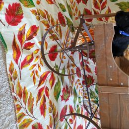 Miniature Schnauzer Puppies from Camp Creek Schnauzers