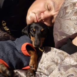 Jack - Dachshund
