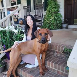 Zambi - Rhodesian Ridgeback