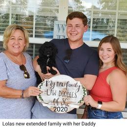 Aussiedoodle and Goldendoodle Puppies from Law Doodles of SC