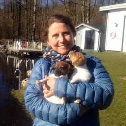 Australian Shepherd and Danish-Swedish Farmdog Puppies from Paradox