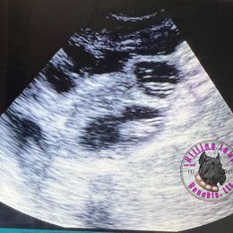 Cane Corso Puppies from Killing Joke Kennels, LLC