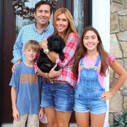 Labrador Retriever Puppies from Endless Mt. Labradors