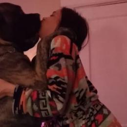 Mastiffs from Kentucky Mastiffs