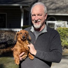 Sterling - Dachshund