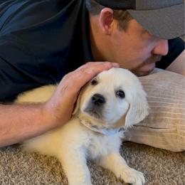 Gray boy - Light golden male Golden Retriever puppy in Pahrump, Nevada from Southern Nevada Goldens