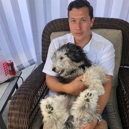 Sheepadoodle Puppies from Narrow Path Puppies