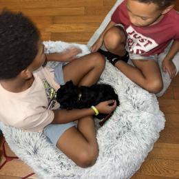 Cavapoo, Cockapoo, Goldendoodle, and Maltipoo Puppies from Perdue Puppies