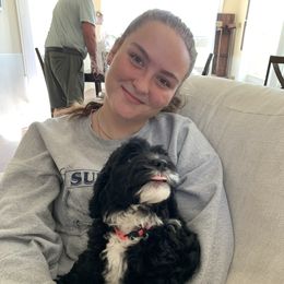 Sheepadoodle Puppies from Riley Grace Puppies