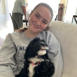 Sheepadoodle Puppies from Riley Grace Puppies