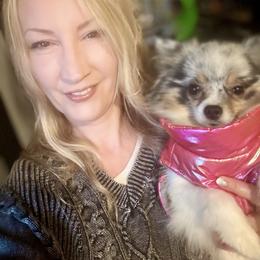 Topanga - Pomeranian
