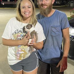 Boston Terrier Puppies from Bonze Boston Terriers
