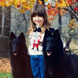 Afghan Hounds and Belgian Sheepdogs from Celebre