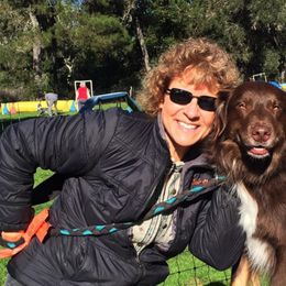 Australian Shepherd All Grown Up from Windmill Australian Shepherds