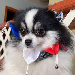 Mei ling - Pomeranian
