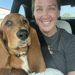 Kah-Nick - Basset Hound