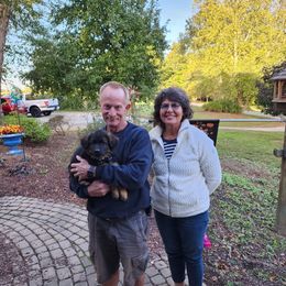 German Shepherd Puppies from Von Hoene Heritage Shepherds