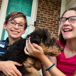 Airedale Terrier Puppies from Olson’s Aire Haven