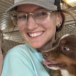 Miniature American Shepherds and Miniature Australian Shepherds from Ebersole Ranch